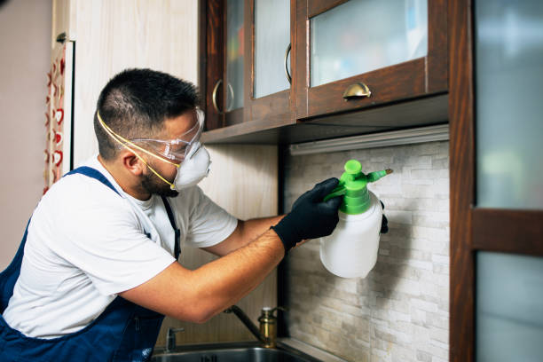 Best Pest Control for Homes  in Finley, WA