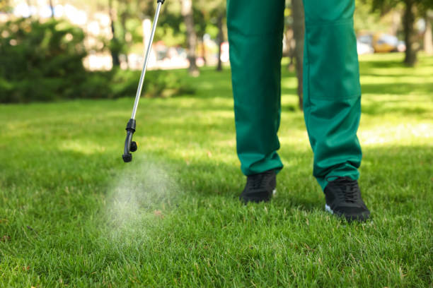 Best Cockroach Control Services  in Finley, WA