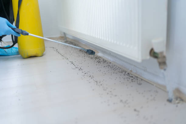 Best Best Pest Control Companies  in Finley, WA